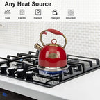 Stainless Steel Tea Kettle