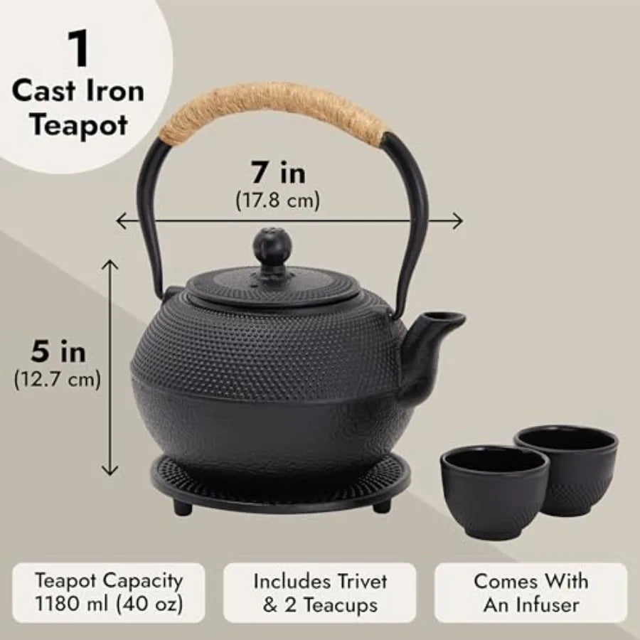 Japanese Cast Iron Tea Set