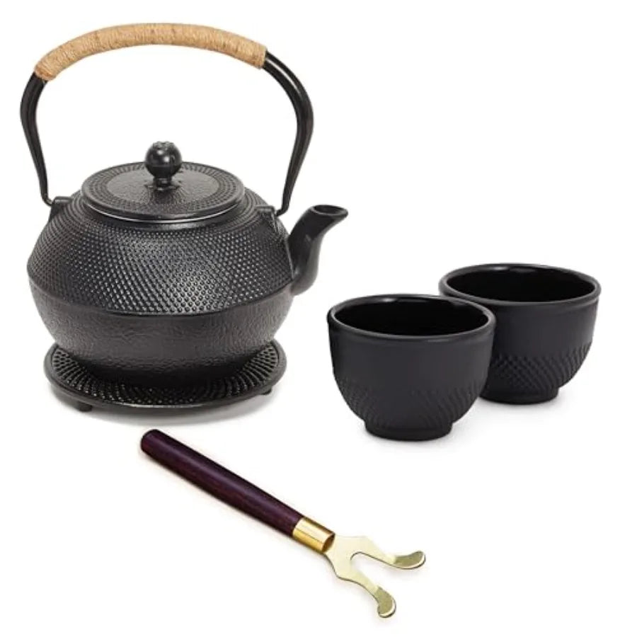 Japanese Cast Iron Tea Set