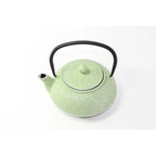 Japanese Tetsubin Tea Pot