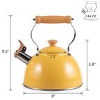 Stainless Steel Tea Kettle