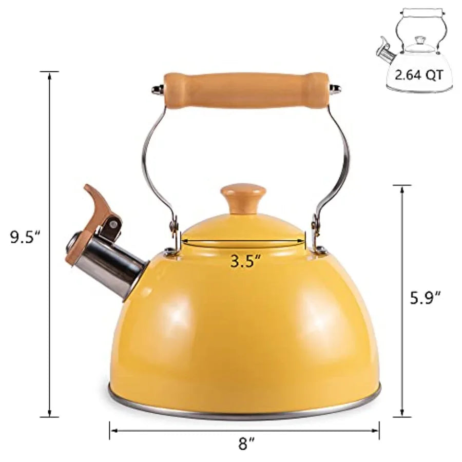 Stainless Steel Tea Kettle