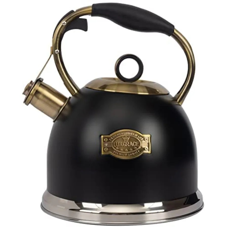Stainless Steel Tea Kettle