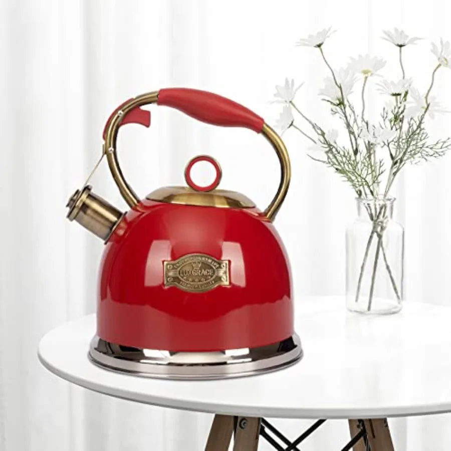 Stainless Steel Tea Kettle